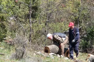 Yukarköy mezarlığı temizlenerek ağaçlandırıldı