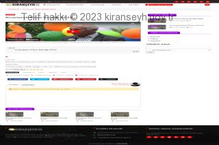 Kıranşeyh köyü yeni web sitesi video detay sayfası görünüşü