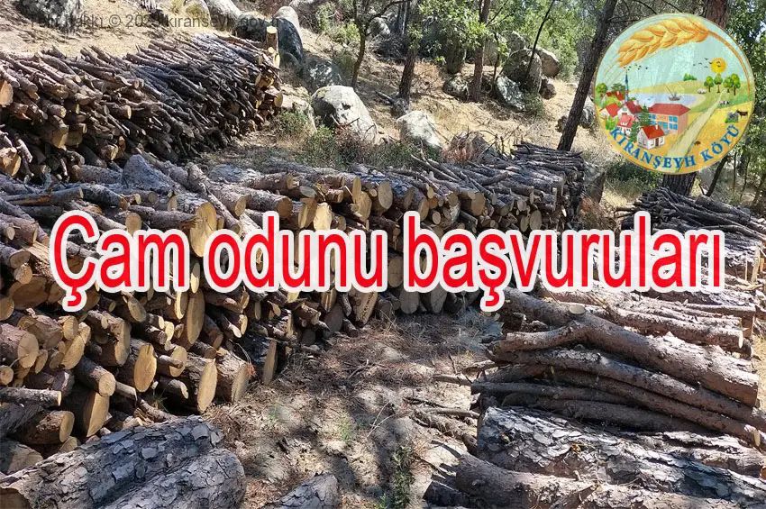 Yakacak çam odunu siteri duyurusu başlıklı haber resmi