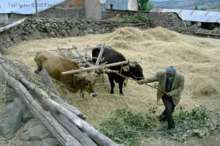 Kıranşeyh köyü ekonomisi