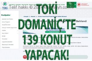 Toki'nin ilk Domaniç konutlarının ihale tarihi belli oldu başlıklı haber resmi